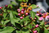 Enlarge photo 39