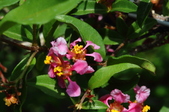 Enlarge photo 38