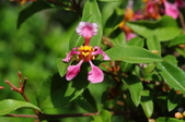 Enlarge photo 36