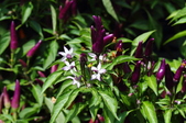 Enlarge photo 34