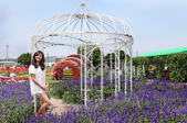 Enlarge photo 18