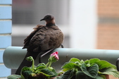 Enlarge photo 36