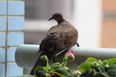Enlarge photo 35