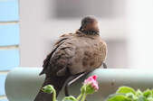 Enlarge photo 31
