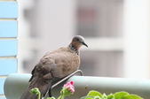 Enlarge photo 30