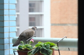 Enlarge photo 28
