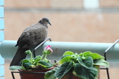Enlarge photo 18