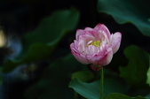 Enlarge photo 134