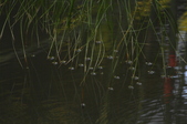 Enlarge photo 125