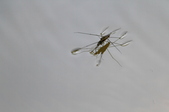 Enlarge photo 119