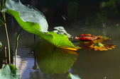 Enlarge photo 116