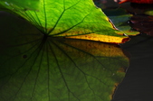 Enlarge photo 114