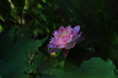 Enlarge photo 85