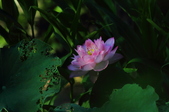 Enlarge photo 84