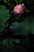 Enlarge photo 31