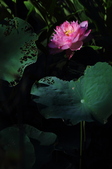 Enlarge photo 28
