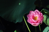 Enlarge photo 167