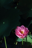 Enlarge photo 168