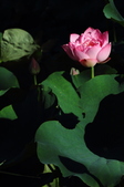 Enlarge photo 161