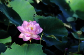 Enlarge photo 158