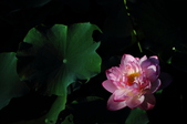 Enlarge photo 152