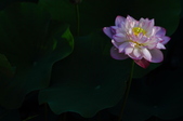 Enlarge photo 146