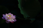 Enlarge photo 147