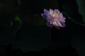 Enlarge photo 144