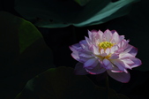 Enlarge photo 139