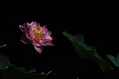 Enlarge photo 129