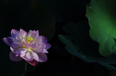 Enlarge photo 124