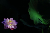 Enlarge photo 123