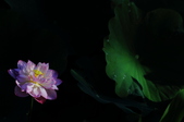 Enlarge photo 122