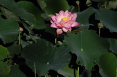 Enlarge photo 121