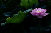 Enlarge photo 56