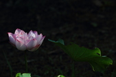 Enlarge photo 55