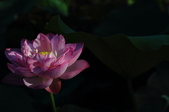 Enlarge photo 46