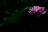 Enlarge photo 39