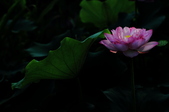 Enlarge photo 36