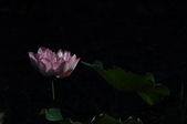 Enlarge photo 35
