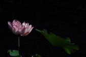 Enlarge photo 33