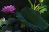 Enlarge photo 29