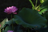 Enlarge photo 30