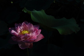 Enlarge photo 27