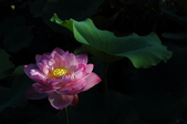 Enlarge photo 24