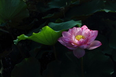 Enlarge photo 21
