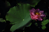 Enlarge photo 206
