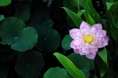 Enlarge photo 169