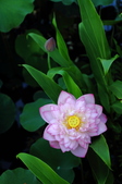 Enlarge photo 168