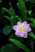 Enlarge photo 167